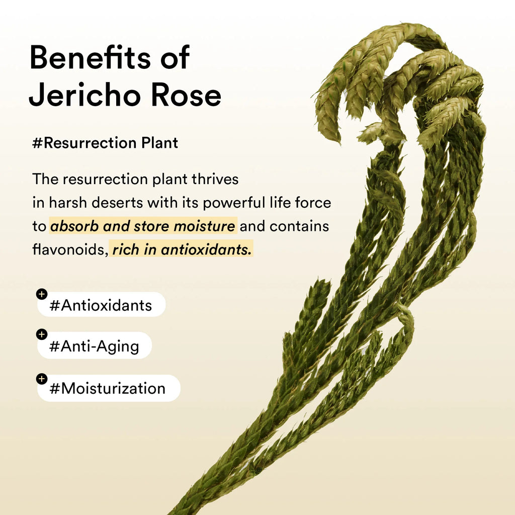 ABIB - COLLAGEN EYE PATCH JERICHO ROSE JELLY (60EA 90G)